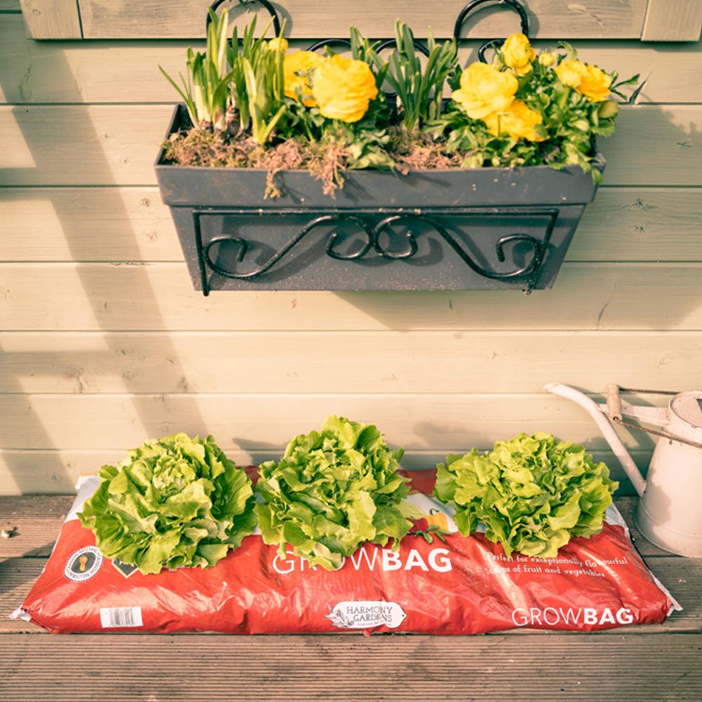 Harmony Gardens Growbag 30L Image 4