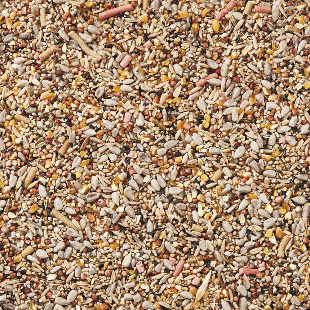 Happy Beaks Premium Spring and Summer Seed Mix Bird Food 25.5kg Image 5