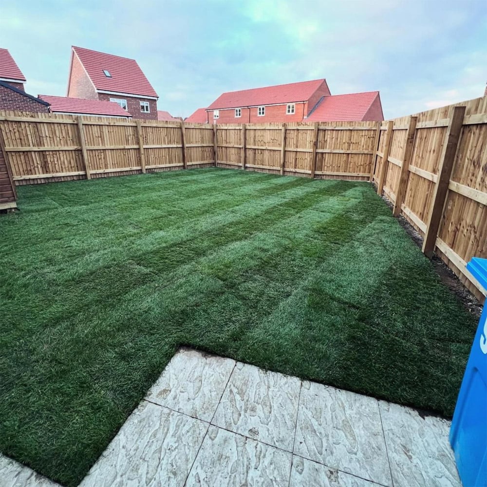 Inturf Classic Turf Roll 50sqm Image 2