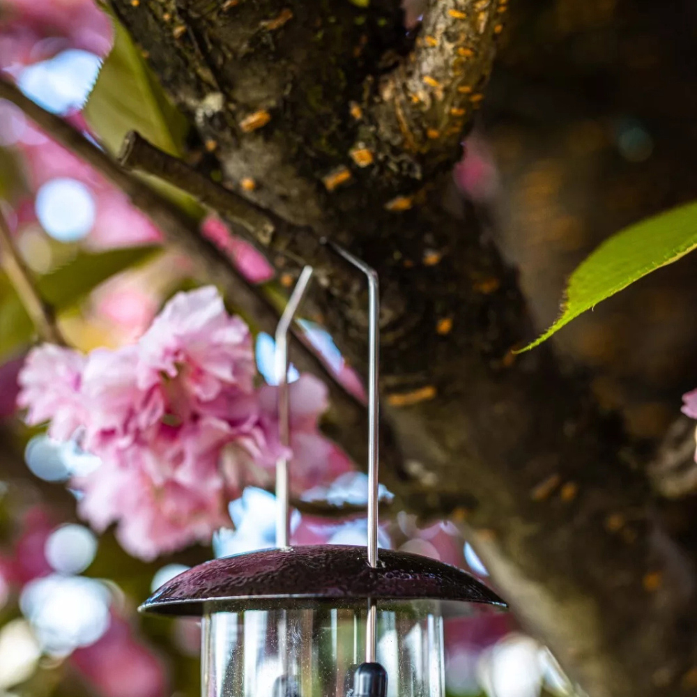 Marco Paul Wild Bird Hammertone Seed Feeder 3 Pack Image 8