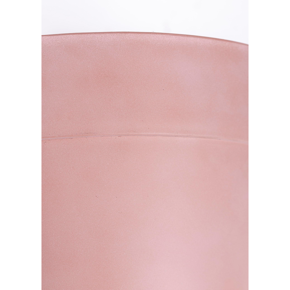 Thompson and Morgan Lucena Dusky Pink Matte Finish Pot 27cm 2 Pack Image 2