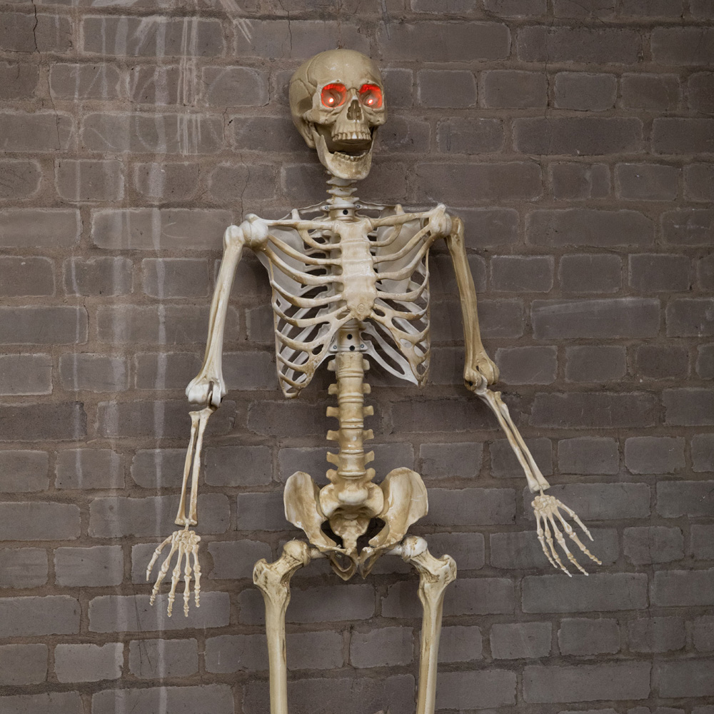 Samuel Alexander Light Up Posable Full Body Skeleton Halloween Decoration 5ft Image 4