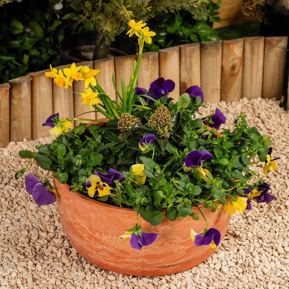 Garden Gear Caesar Terracotta Marble Effect Bowl Planter 35cm Image 3