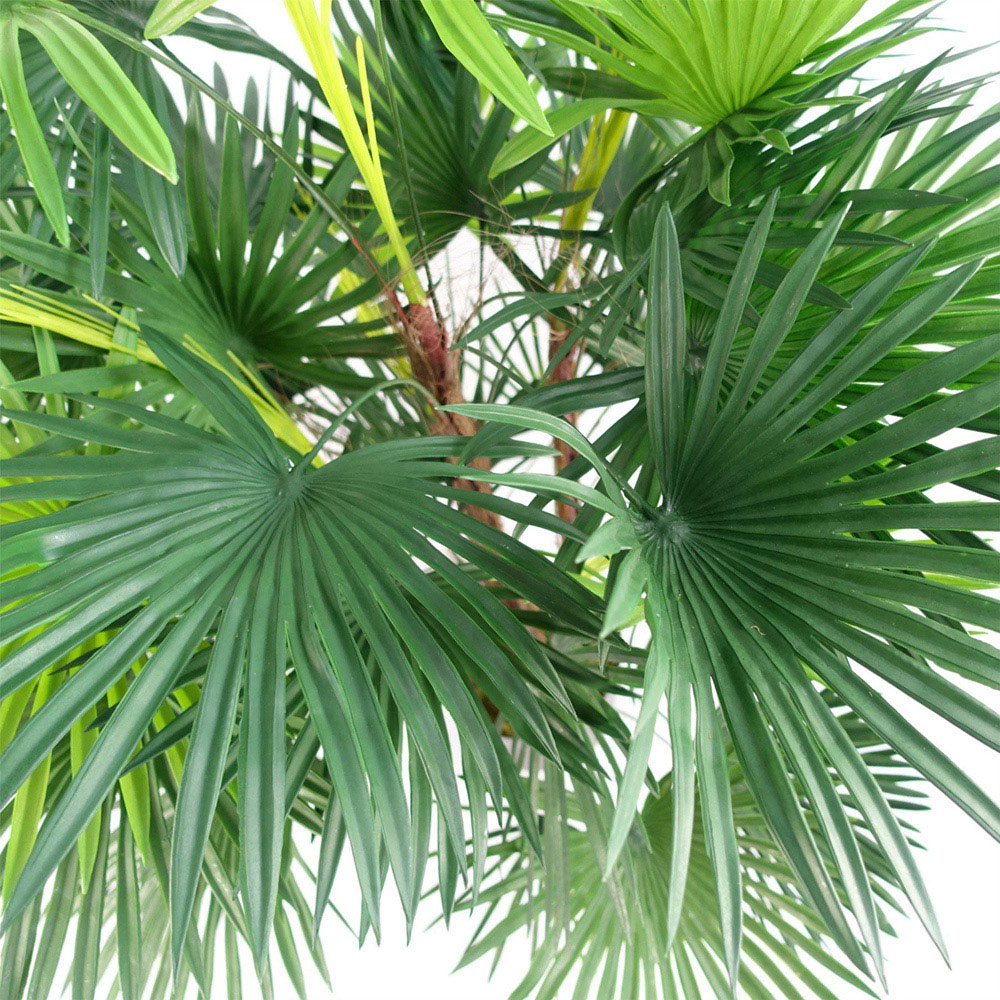Leaf Fan Palm Artificial Tree 90cm Image 2