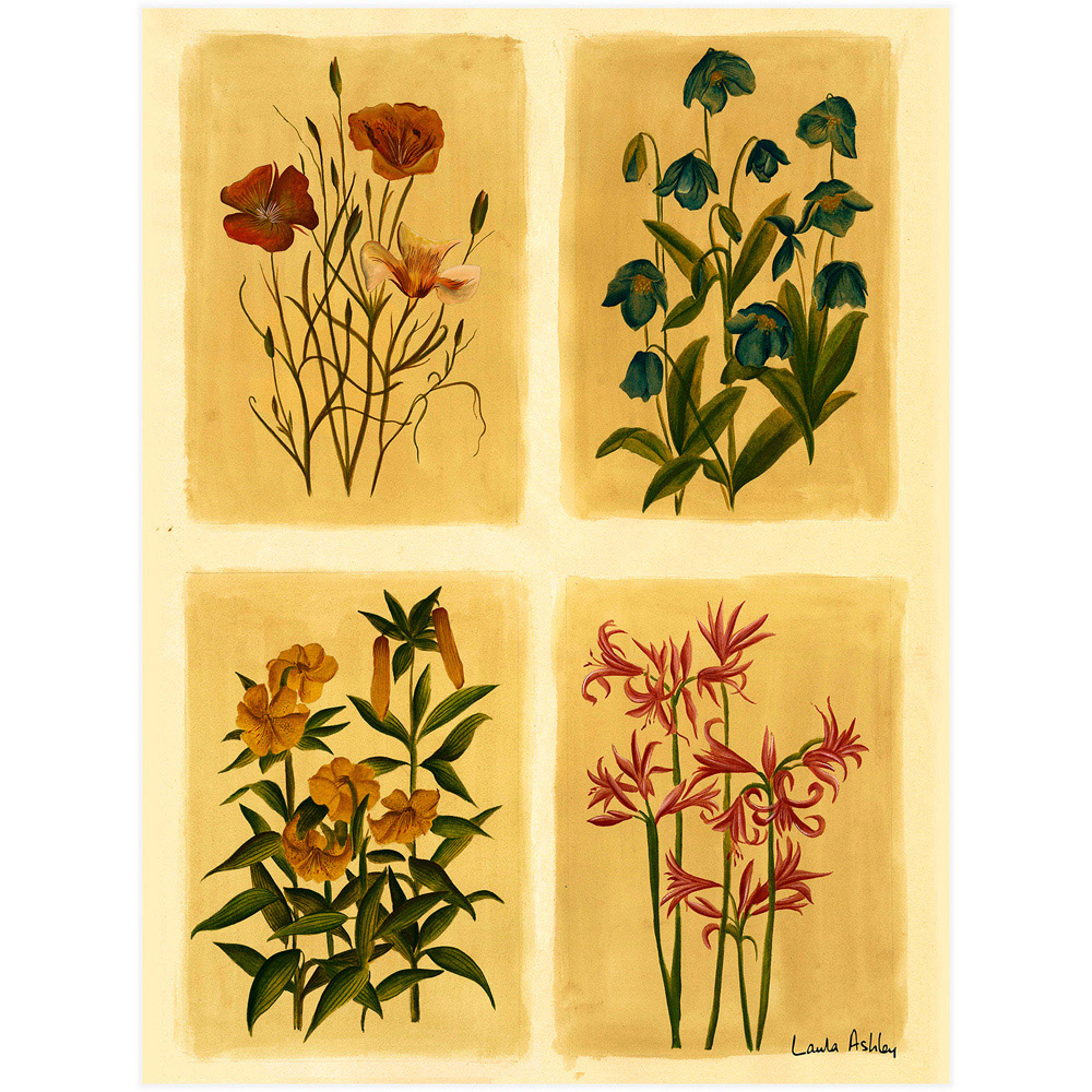 Laura Ashley Antique Flowers Black Frame Wall Art 40 x 50cm Image 4