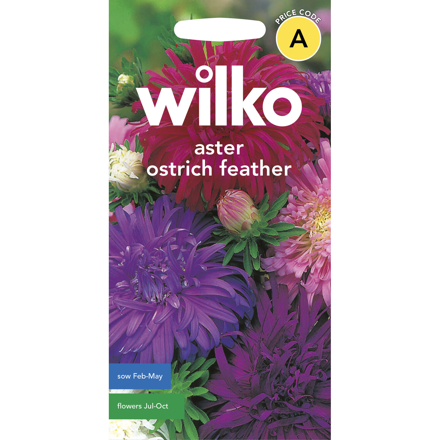 Wilko Aster Ostrich Feather Seeds Pink and Purple Image 1