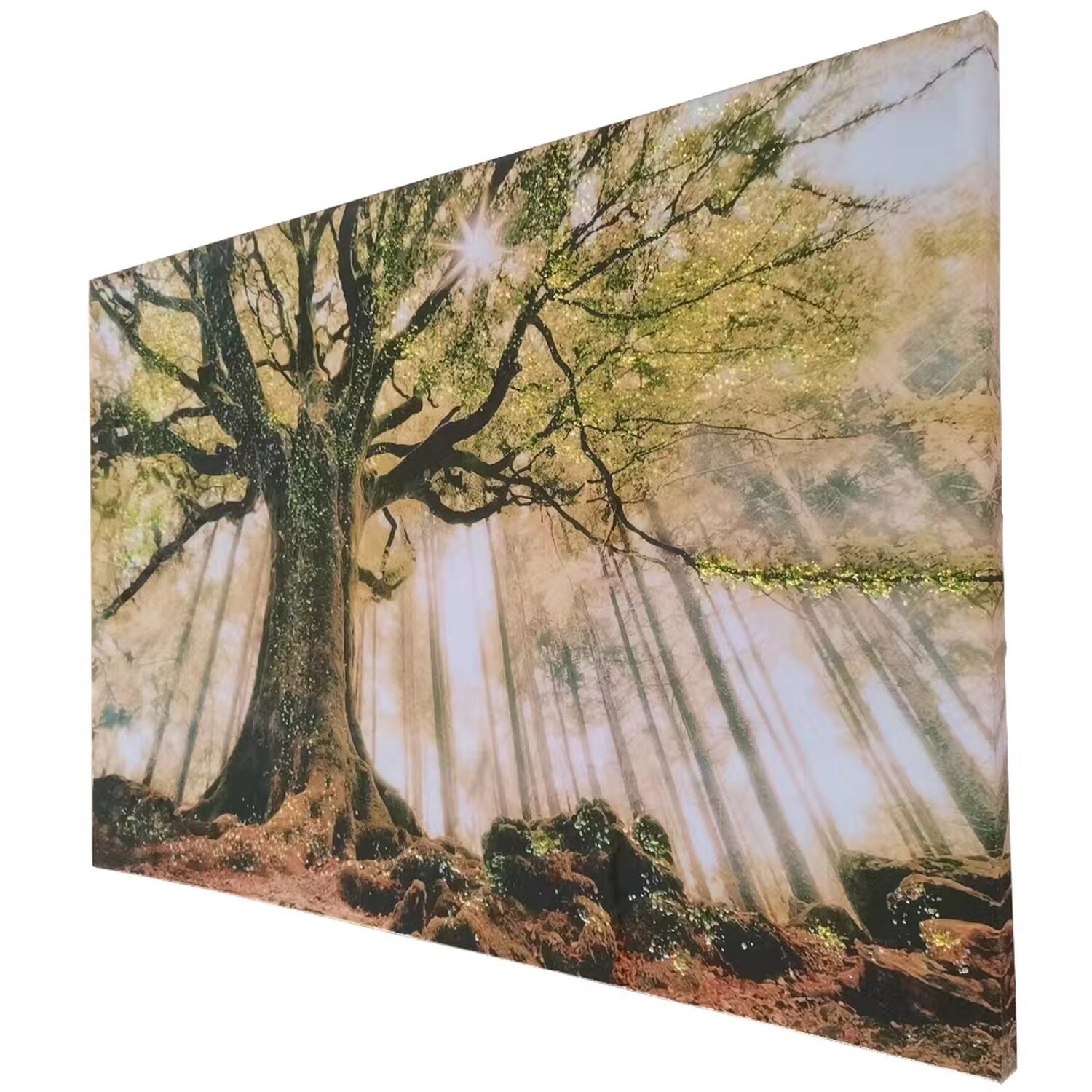 Sunlight Forest Gloss Canvas - Green Image 2