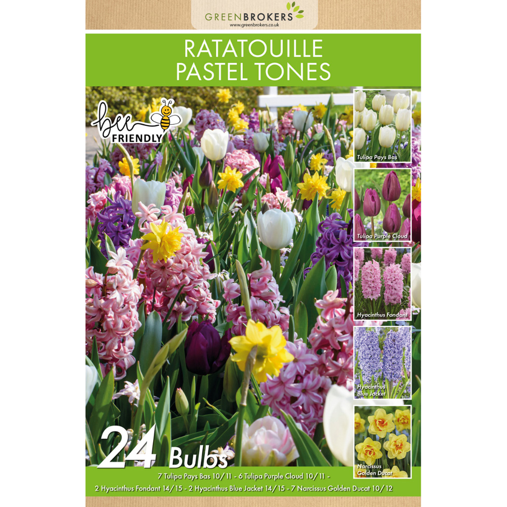GreenBrokers Dutch Ratatouille Pastel Bee Friendly Mixed Planting Bulb 24 Pack Image 2