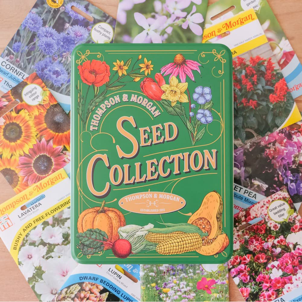 Thompson & Morgan Hard Good Seed Collection Tin with Flower Image 2