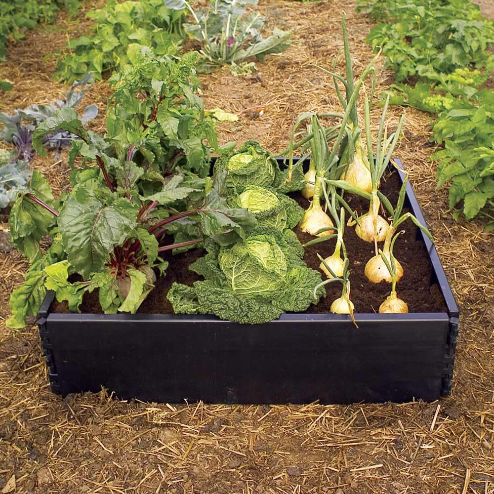 Thompson & Morgan Garden Raised Bed Extension 120 x 100 x 100cm Image 2