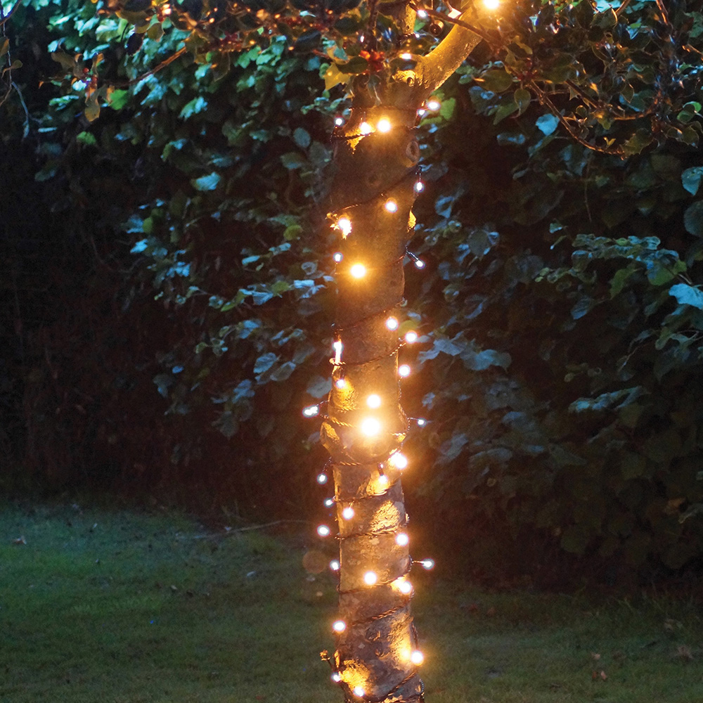Eagle Connect Gold LED Black String Light 70m Image 4
