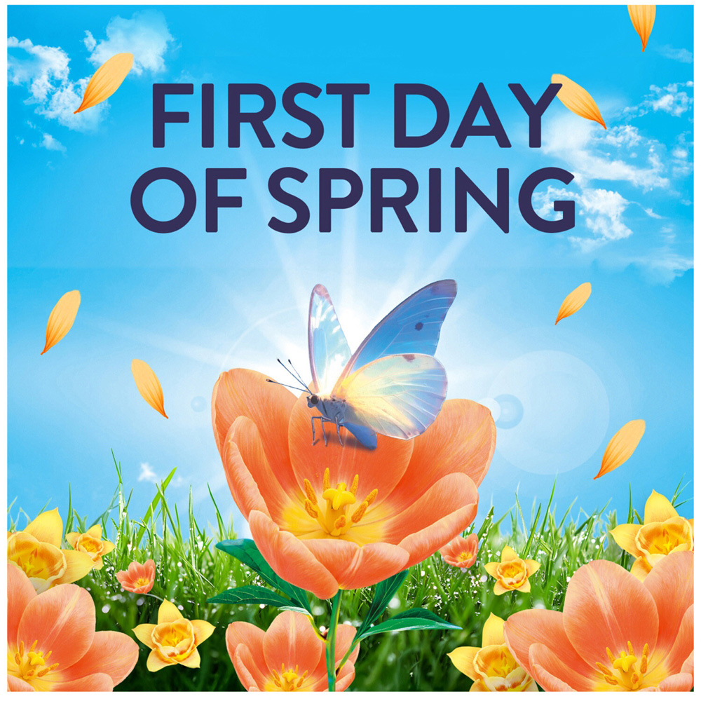 Lenor Outdoorable Concentrated Fabric Conditioner First Day of Spring 76 Image 6