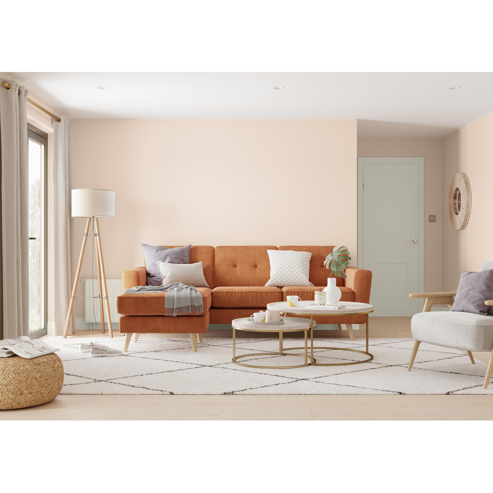 Dulux Easycare Soft Peach Washable and Tough Matt Emulsion Paint 2.5L Image 6