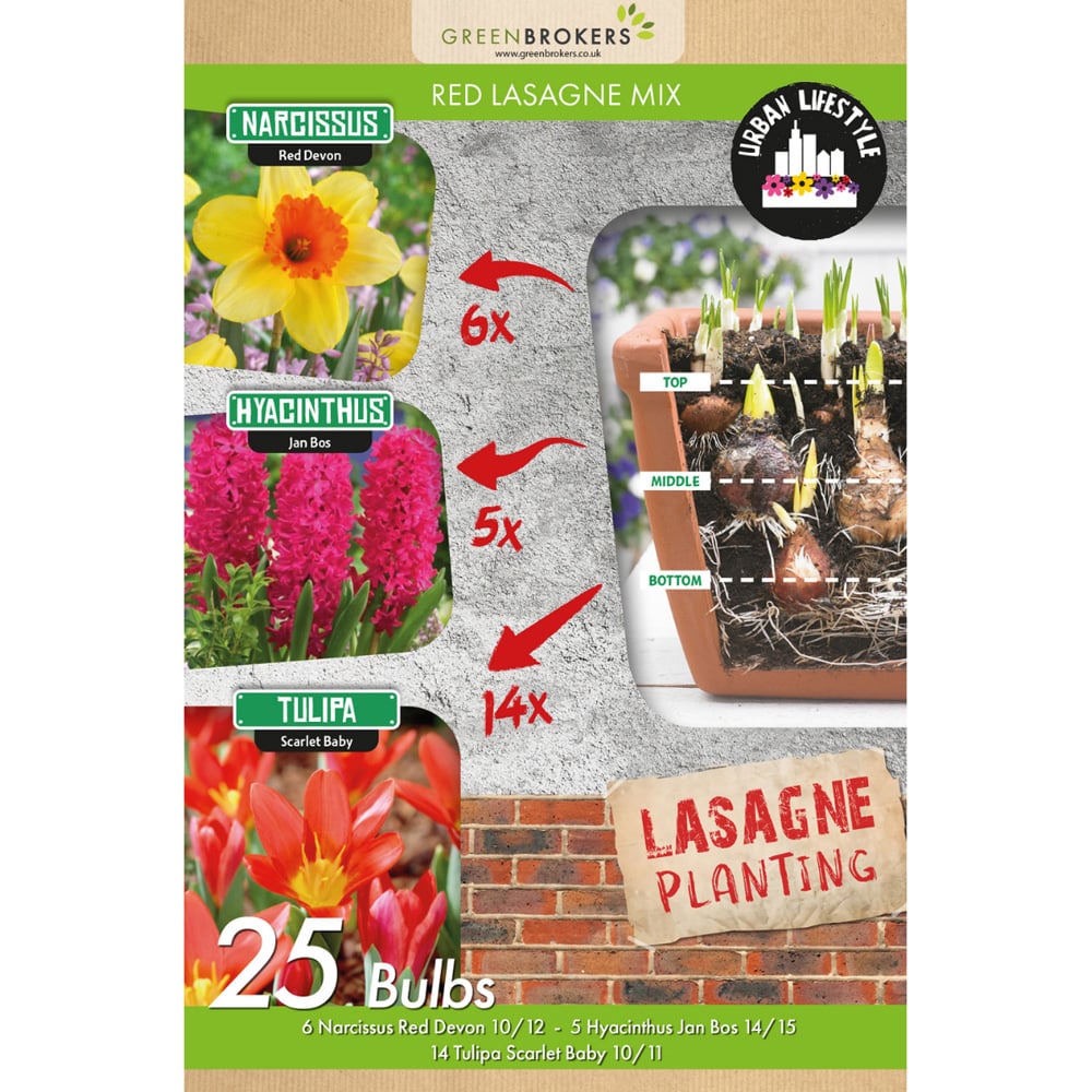 GreenBrokers Red Lasagne Bee Friendly Mixed Spring Planting Bulb 25 Pack Image 2