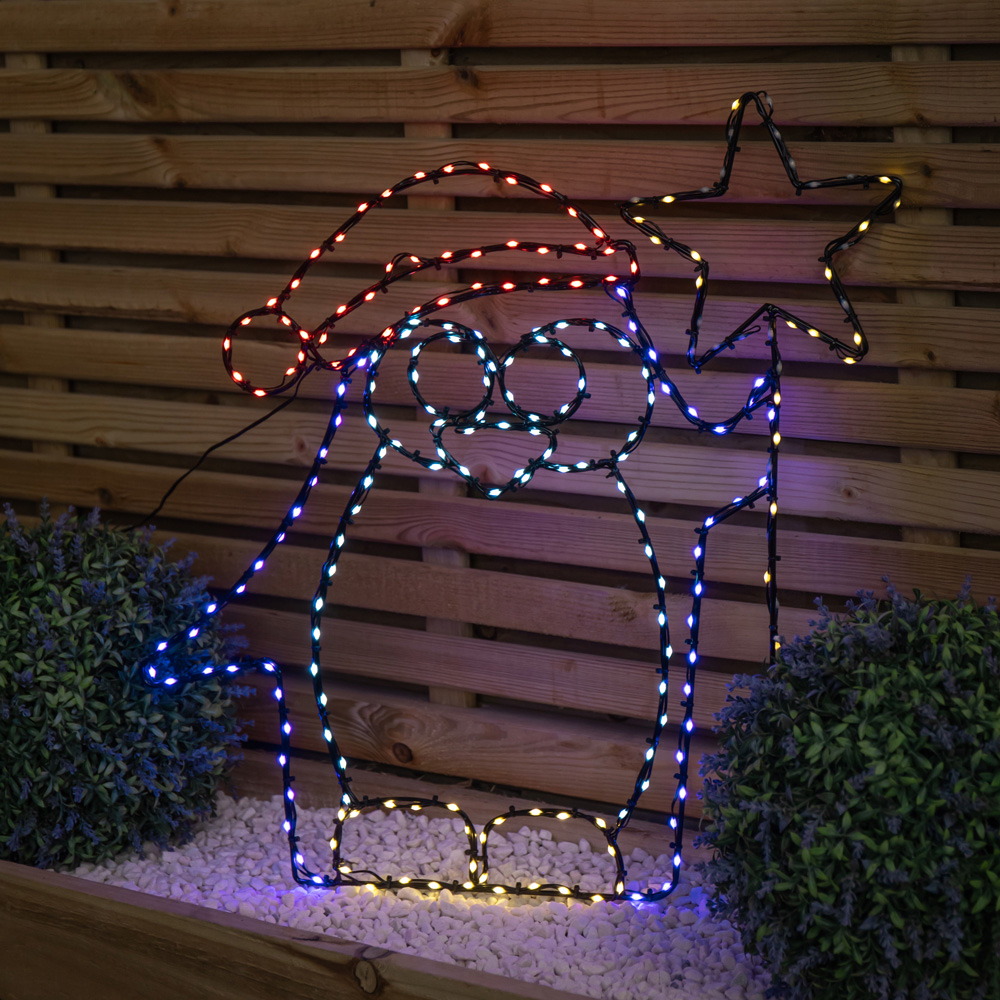 Premier FlexiBrights 221 Multicolour LED Light Up Christmas Penguin with Star 58cm Image 6