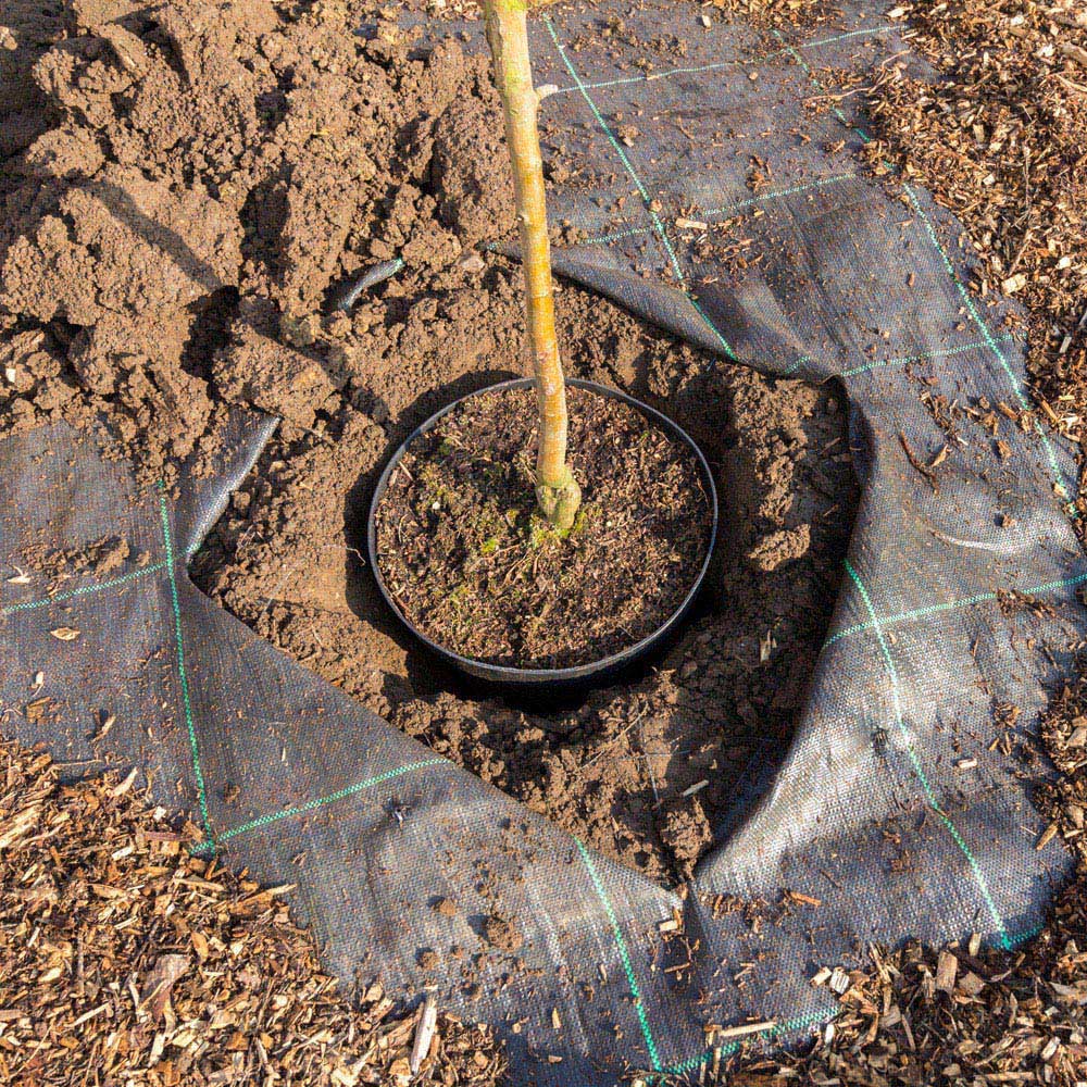 Gardenkraft Sheet Woven Weed Control Fabric Cover 2 x 10m Image 5