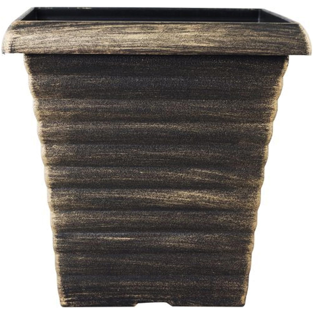 Thompson and Morgan Eucalyptus Gunnii Patio Standard Plant Pot 17cm with Extra Pot Image 2