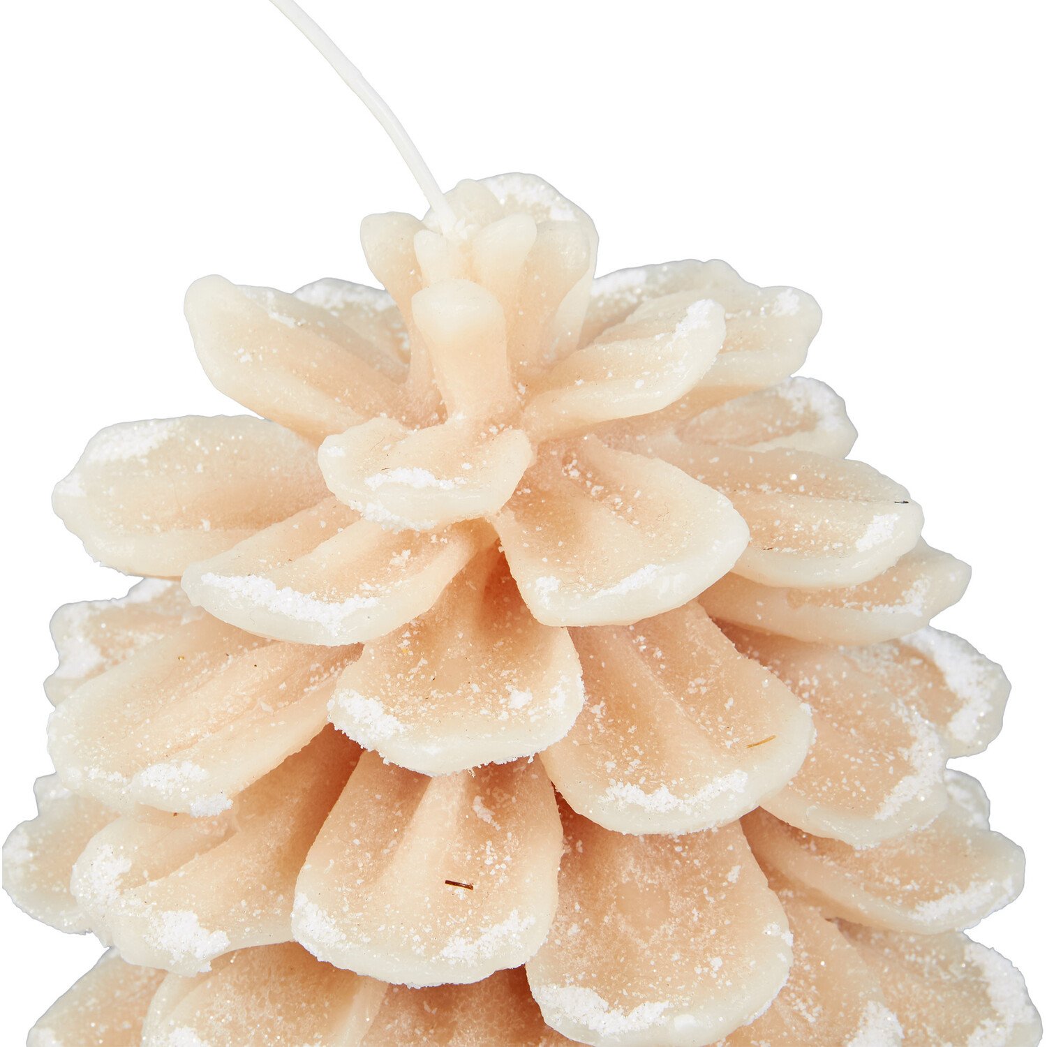 Neutral Pinecone Candle Image 3