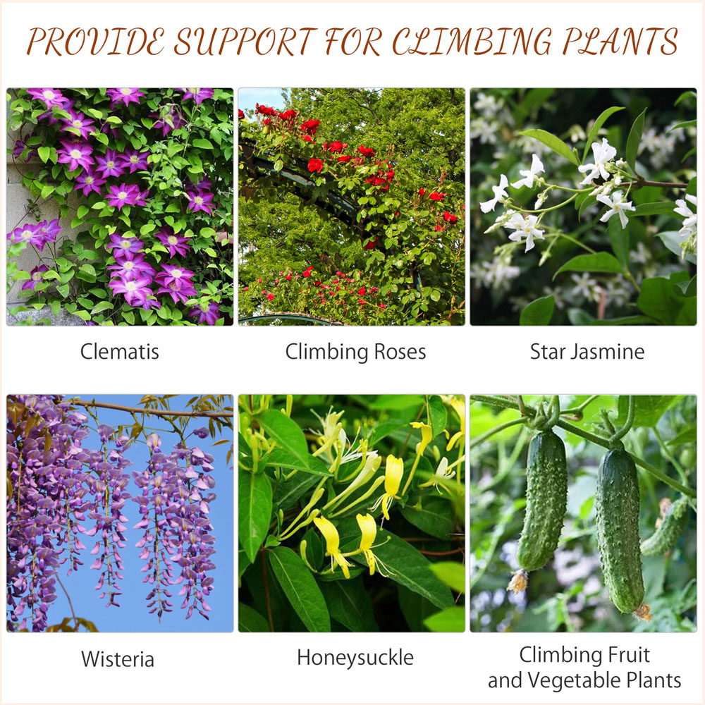 Outsunny Metal Scrolls Design Trellis Frames Garden Planter 2 Pack Image 4