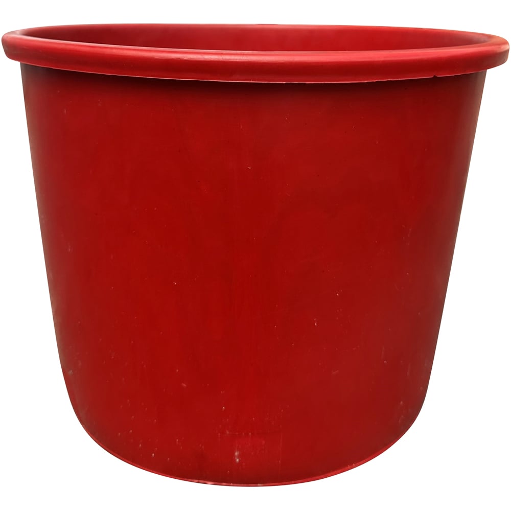 Needle Fresh Nordman Fir Pot Grown Real Christmas Tree with Cover Pot 2.6ft Image 2