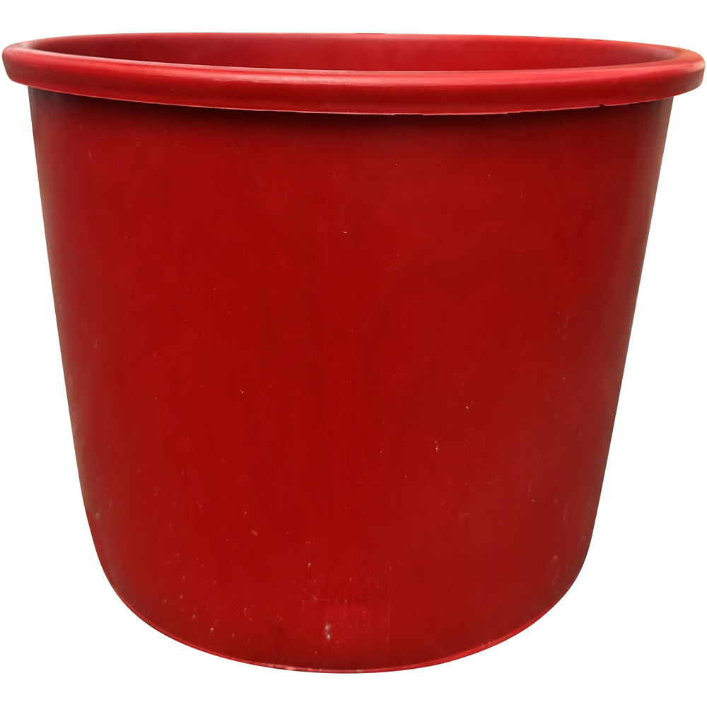 Needle Fresh Nordman Fir Pot Grown Real Christmas Tree with Cover Pot 3.2ft Image 2