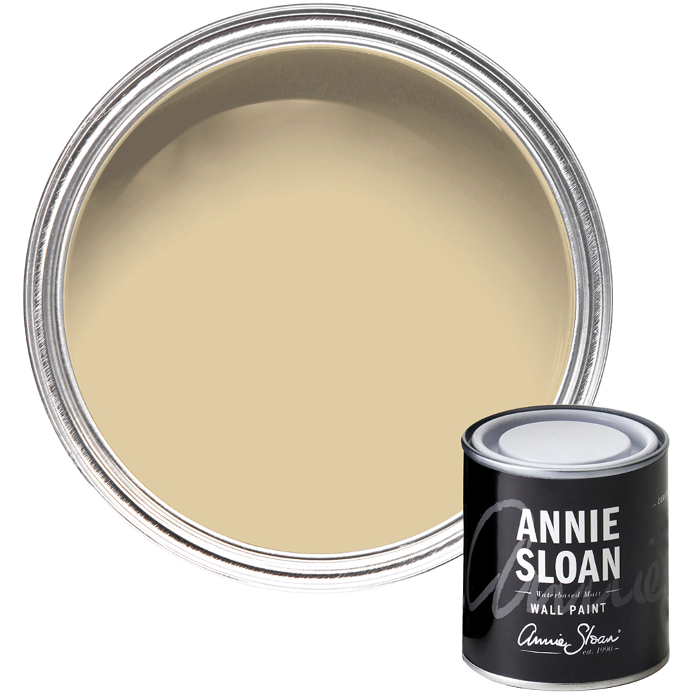 Annie Sloan Old Ochre Matt Wall Paint 120ml Image 1