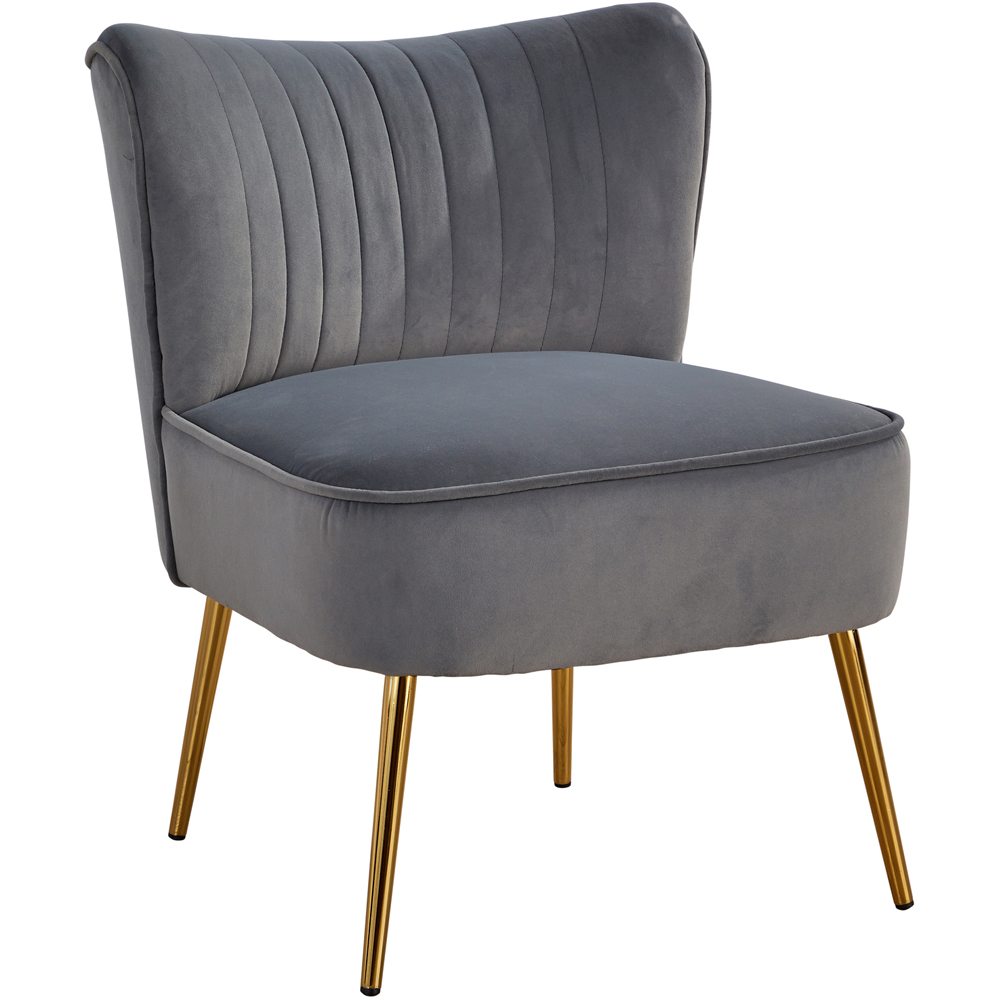 Home Source Danville Grey Velvet Armless Accent Chair Image 2