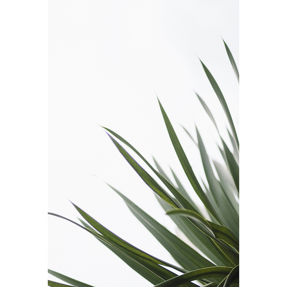 Mirrorstone Nexus 900W Minimal Leaf Wi-Fi Infrared Heating Panel 795 x 1195mm Image 4