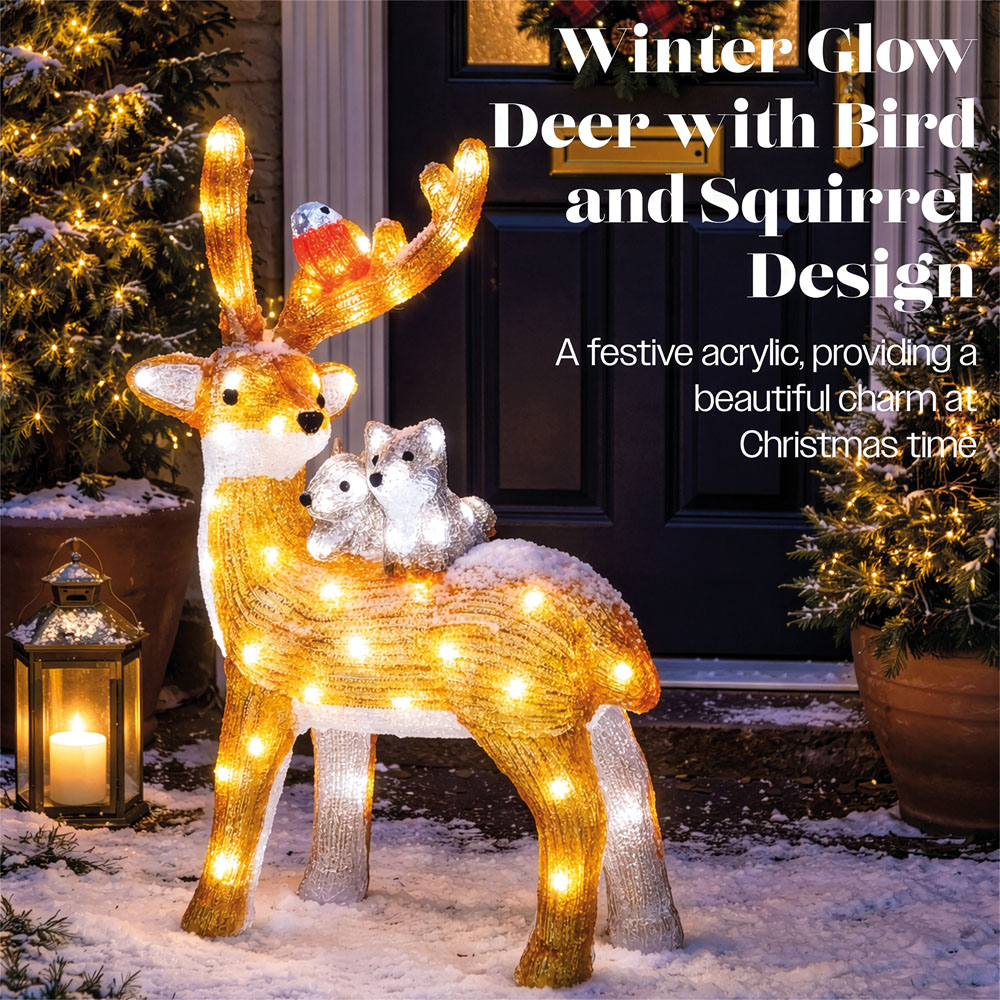 Xmas Haus 80 Bright White LED Acrylic Deer with Bird and Squirrel Christmas Decoration 60cm Image 3