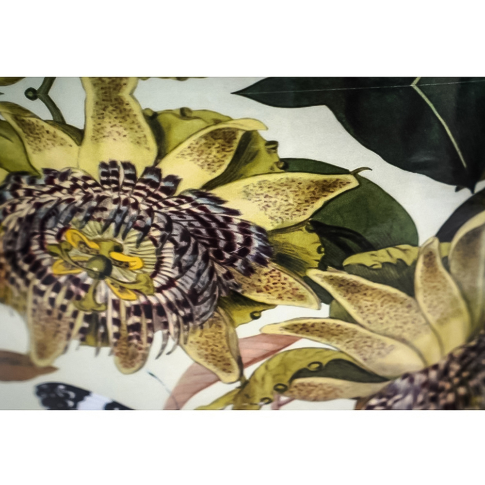 Ivyline Kew Green Botanical Retreat Planter with Saucer 14cm Image 2
