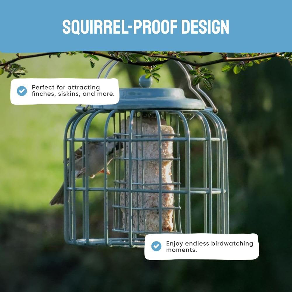 Thompson and Morgan The Nuttery Squirrel Proof Fat Ball and Suet Cake Feeder Image 3