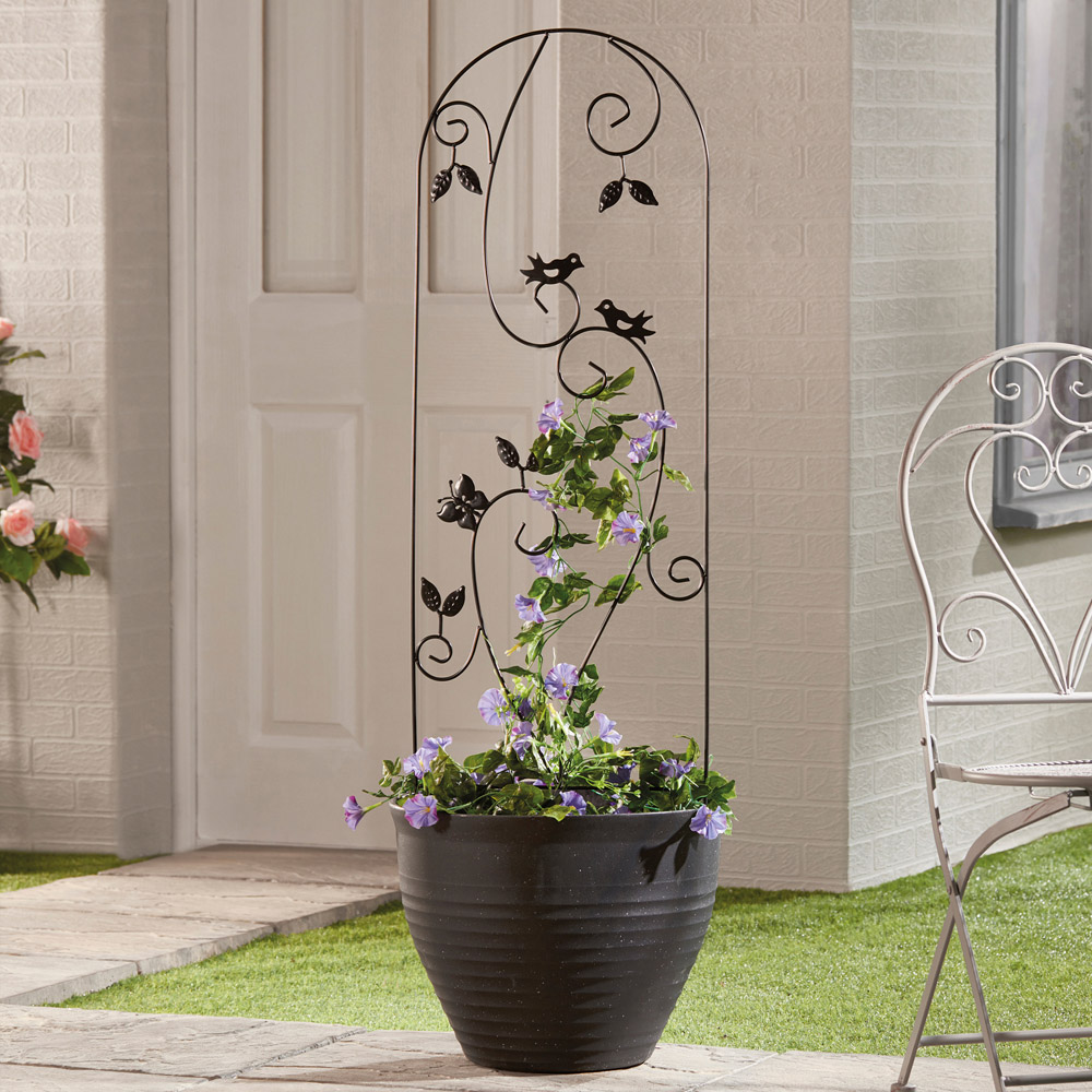 Garden Gear 1.15 Metal Plant Support Image 4