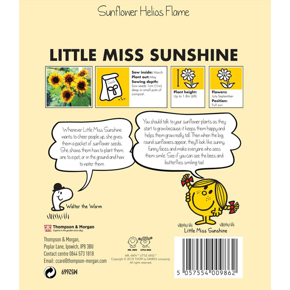 Thompson & Morgan Mr Men Little Miss Sunshine Sunflower Helios Flame Seeds Image 3
