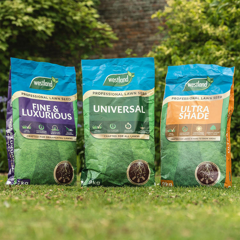 Westland Ultra Shade Professional Lawn Seed 9kg Image 3