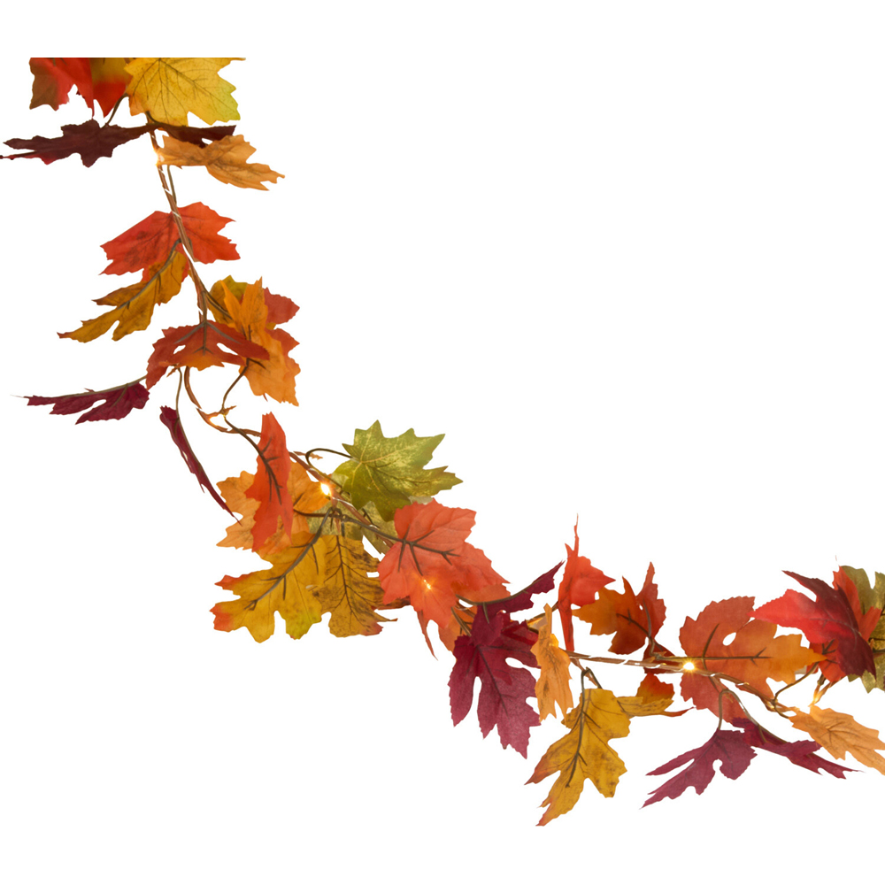 20 LED Autumnal Garland String Light Image 5