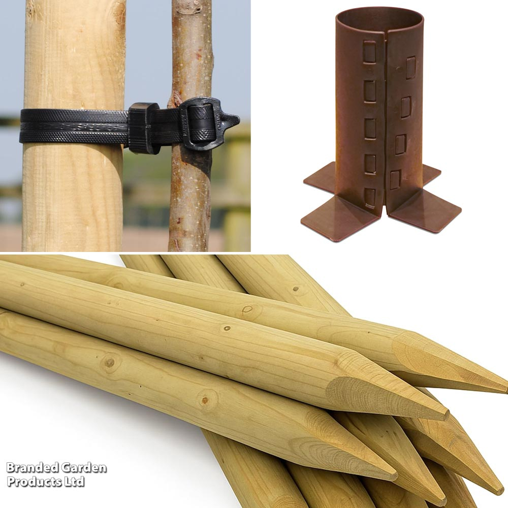 Garden Gear Premium Tree Planting Kit 5 Pack Image 2