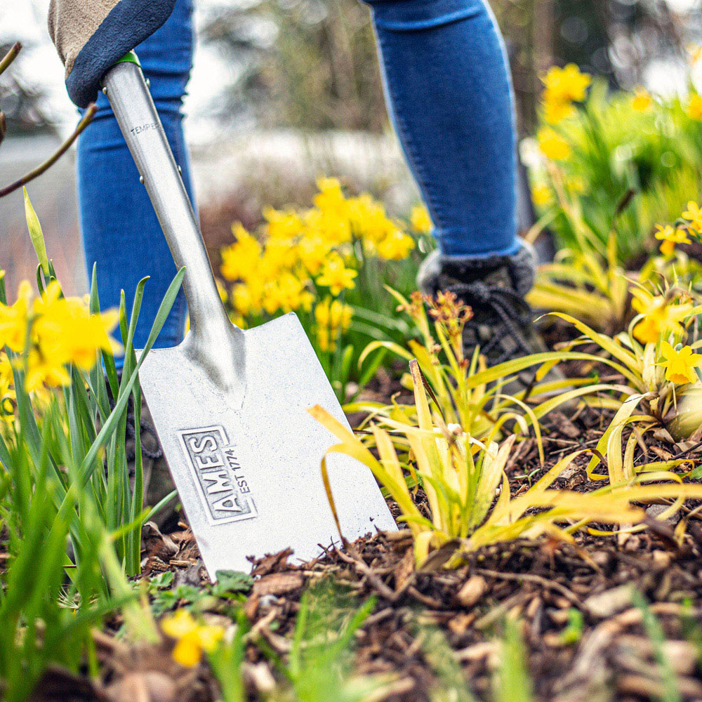 AMES Tools Carbon Steel Border Garden Spade Image 4