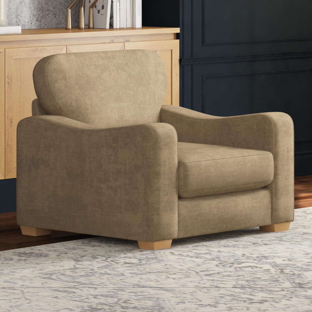 Theadford Mink Plush Velvet Fixed Back Armchair Image 5