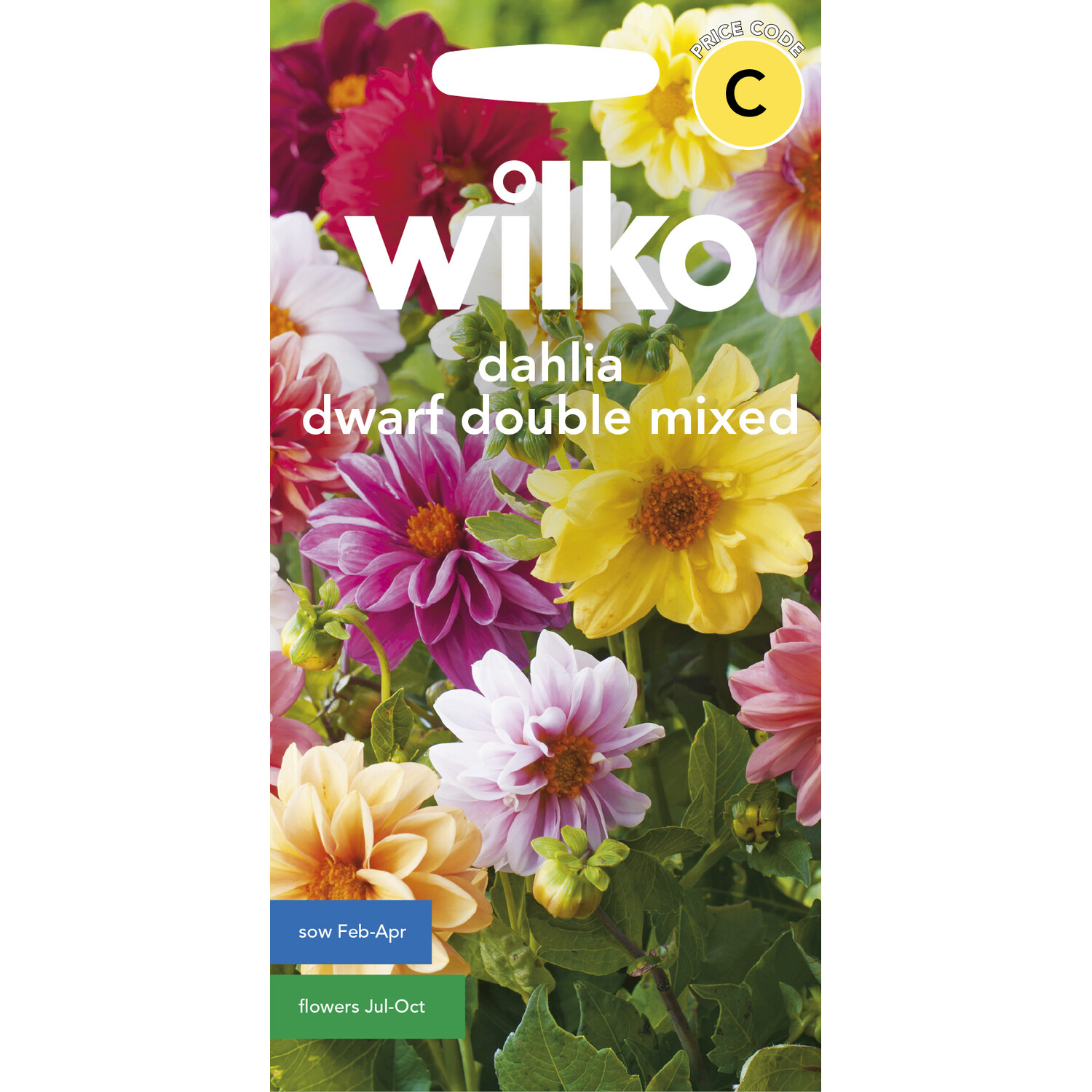 Wilko Mixed Dwarf Double Dahlia Seeds Image 1