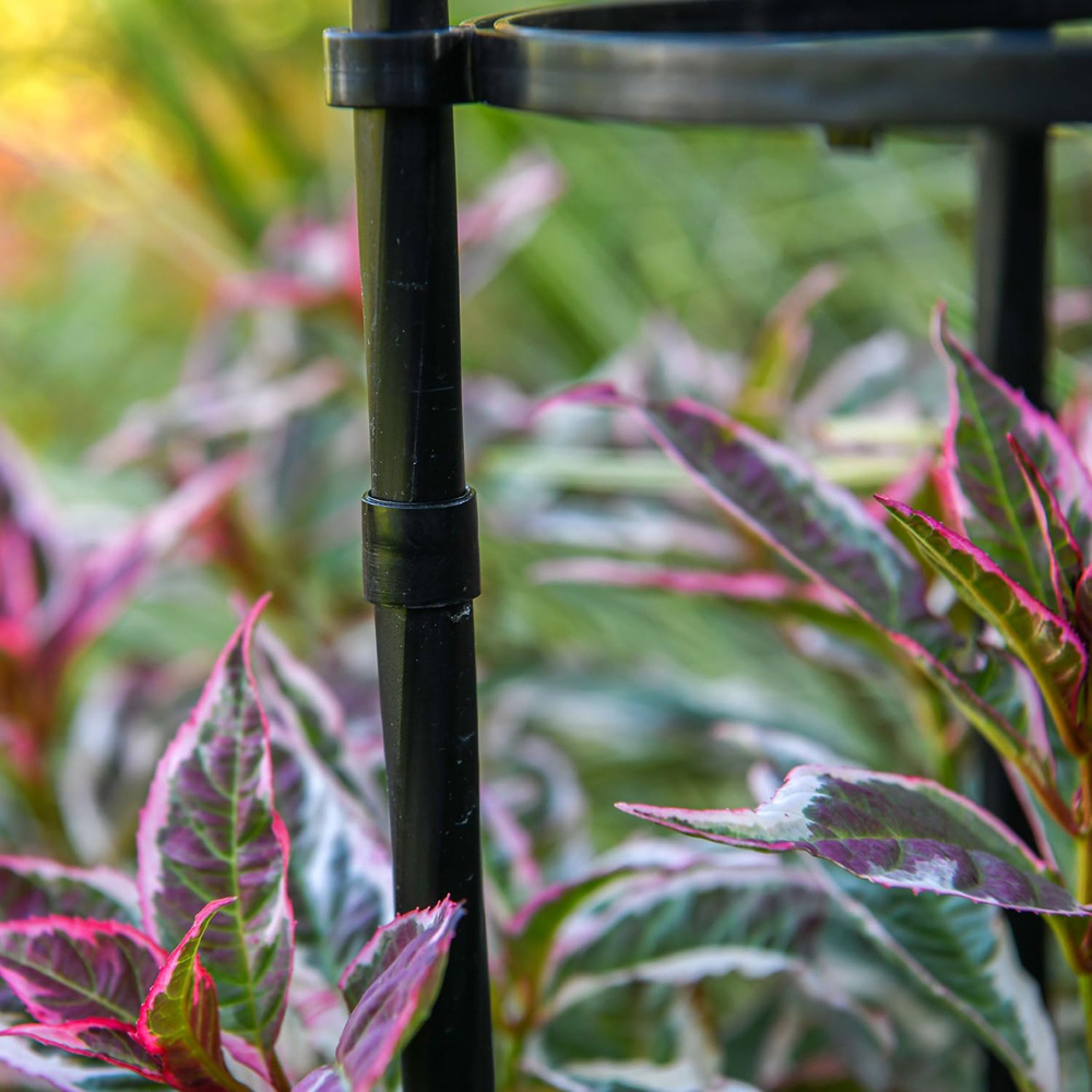 Garden Gear 1.2m Metal Garden Obelisk 2 Pack Image 4