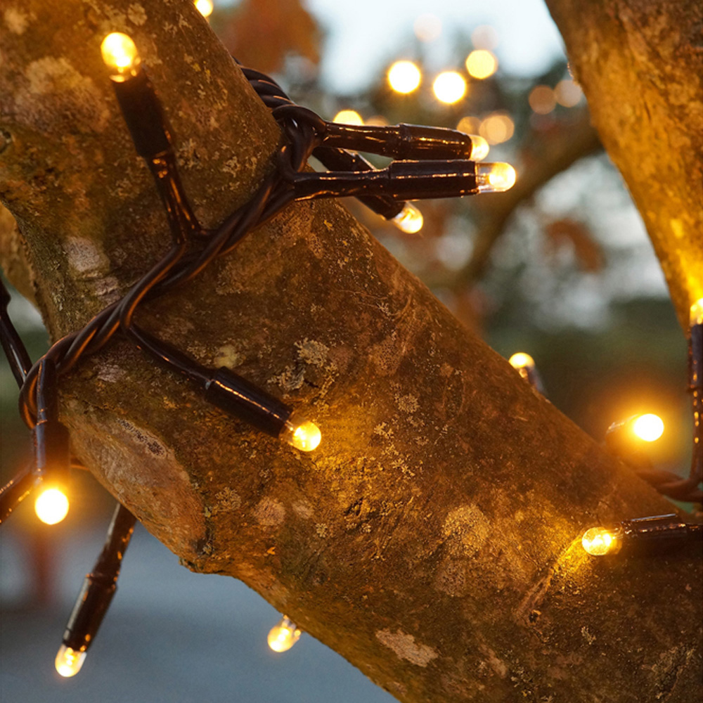 Eagle Connect 1250 Gold LED Black Cluster Light 25m Image 3