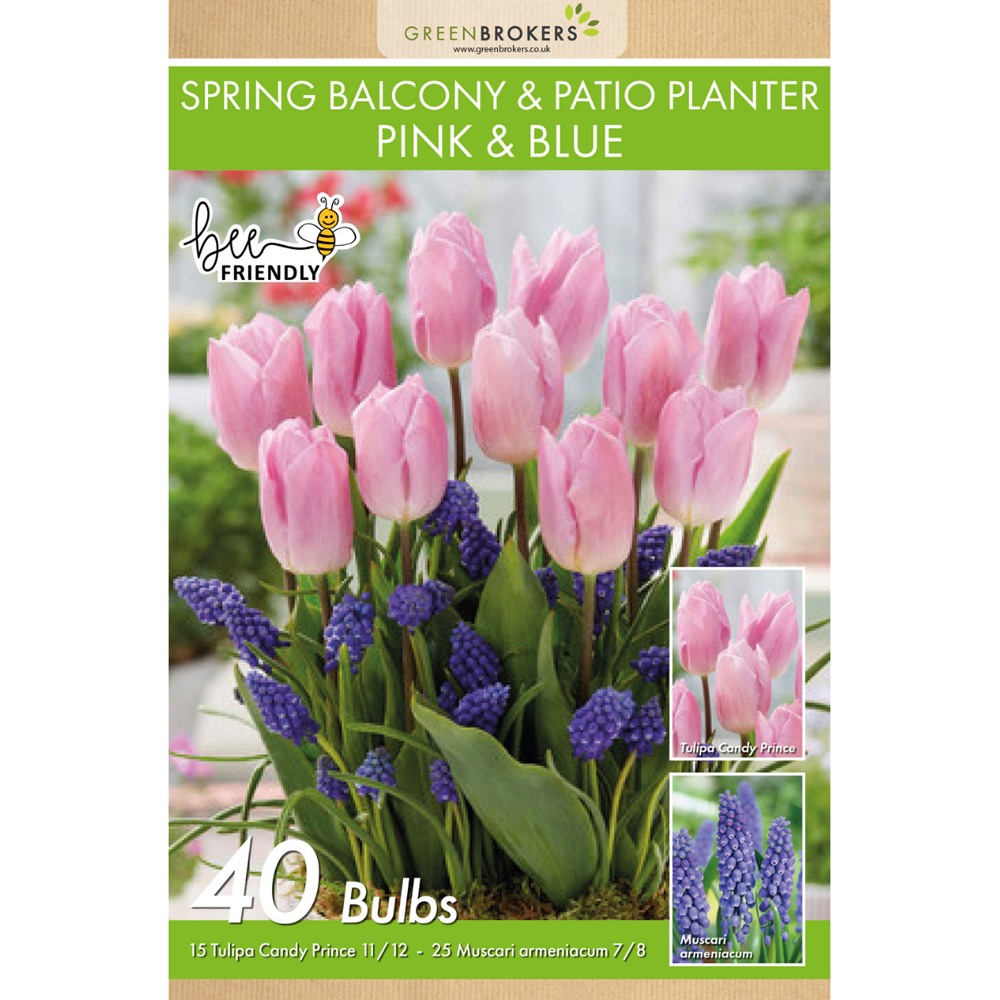 GreenBrokers Pink and Blue Balcony and Patio Mixed Planter Bulb 40 Pack Image 2