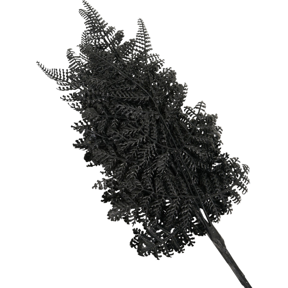 Pack of Fern Picks Dark Grey Image 4