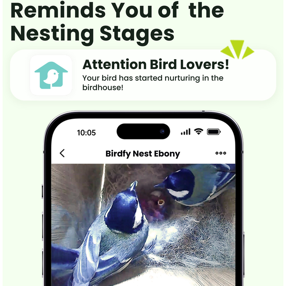 Birdfy Ebony Lite Smart Waterproof Bird House with 1080p FHD AI Camera Image 5