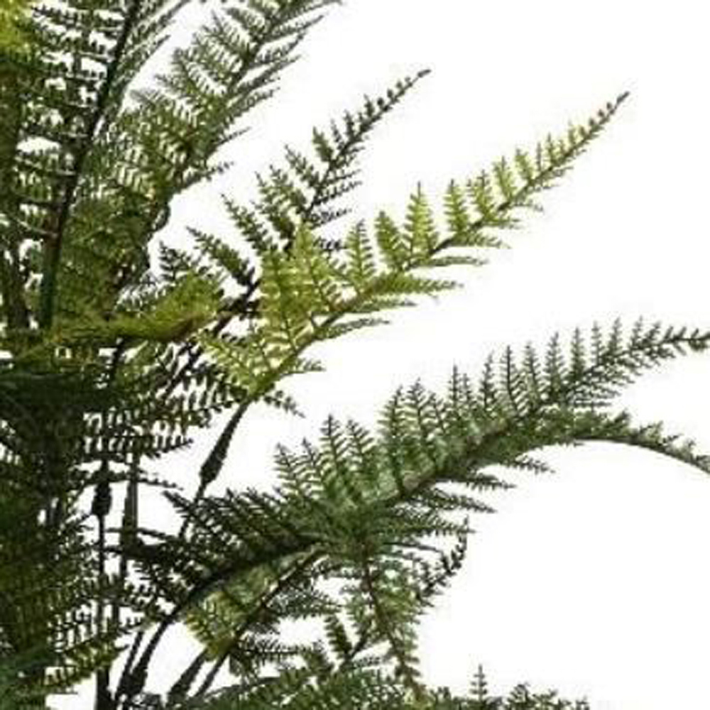 Leaf Green Fire Retardant Fern Artificial Foliage Branch 78cm 6 Pack Image 3