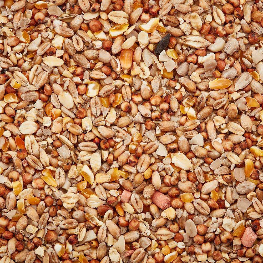 Happy Beak Robin and Songbird No Mess Wild Bird Seed Mix 14kg Image 5