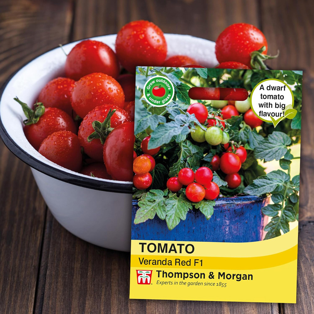Thompson & Morgan Tomato Veranda Red F1 6 Seeds Packet Image 2
