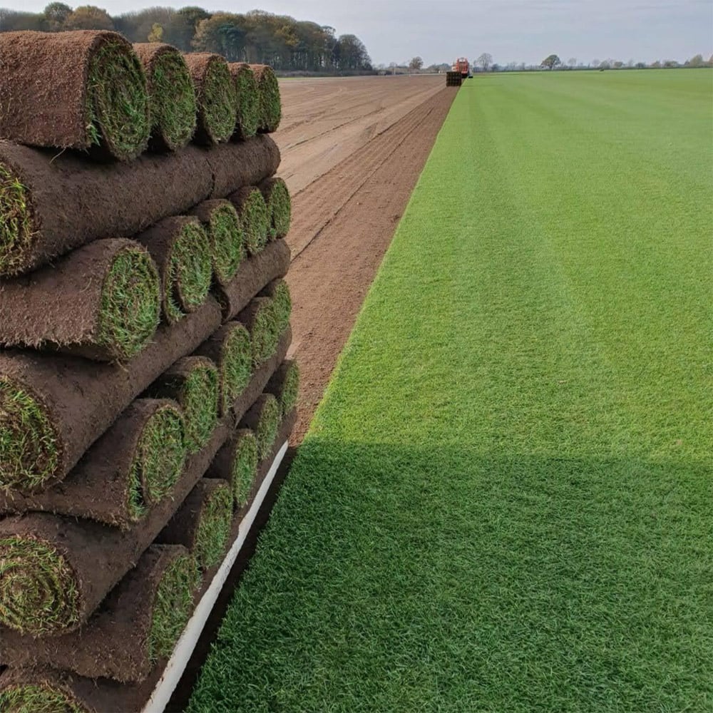 Inturf Classic Turf Roll 50sqm Image 3