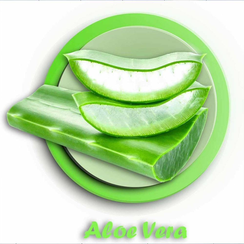 Freedom Inspirations Quilted Aloe Vera Toilet Paper 45 Rolls 3 Ply Image 7