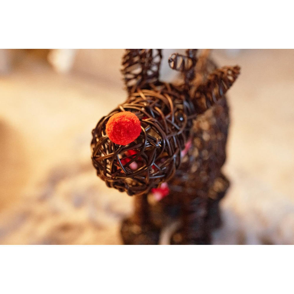 Marco Paul LED Sparkly Rudolph Image 3